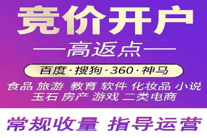 行业领先企业的SEM竞价推广策略揭秘